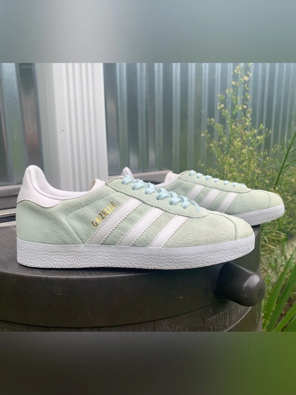 adidas low top